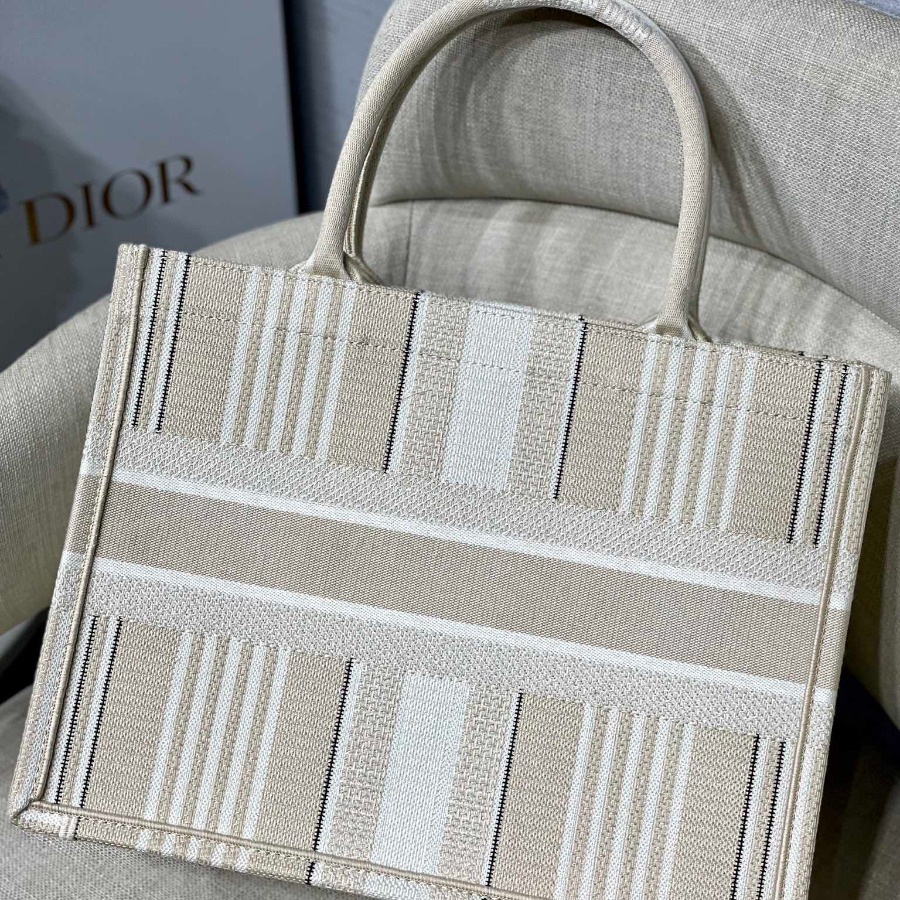 SMALL DIOR BOOK TOTE
