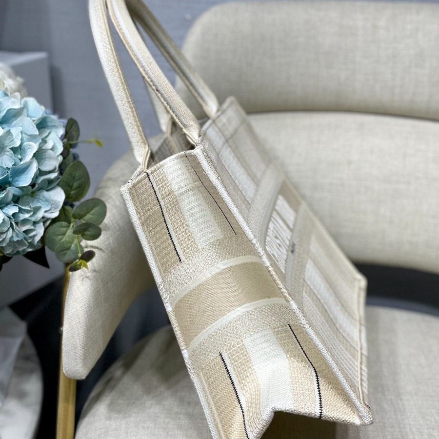 SMALL DIOR BOOK TOTE