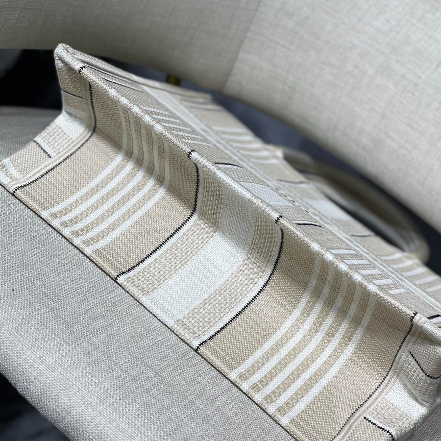 SMALL DIOR BOOK TOTE