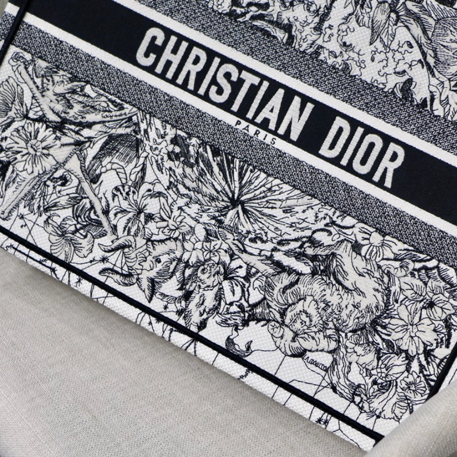 DIOR BOOK TOTE
