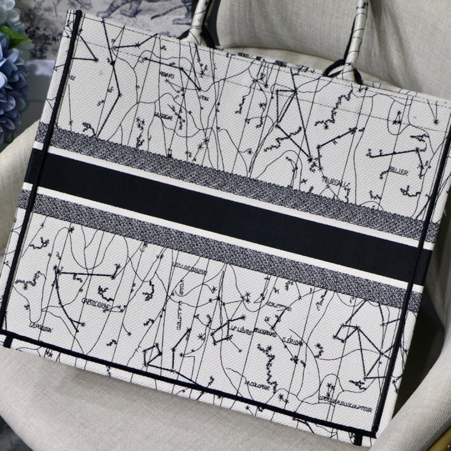 DIOR BOOK TOTE