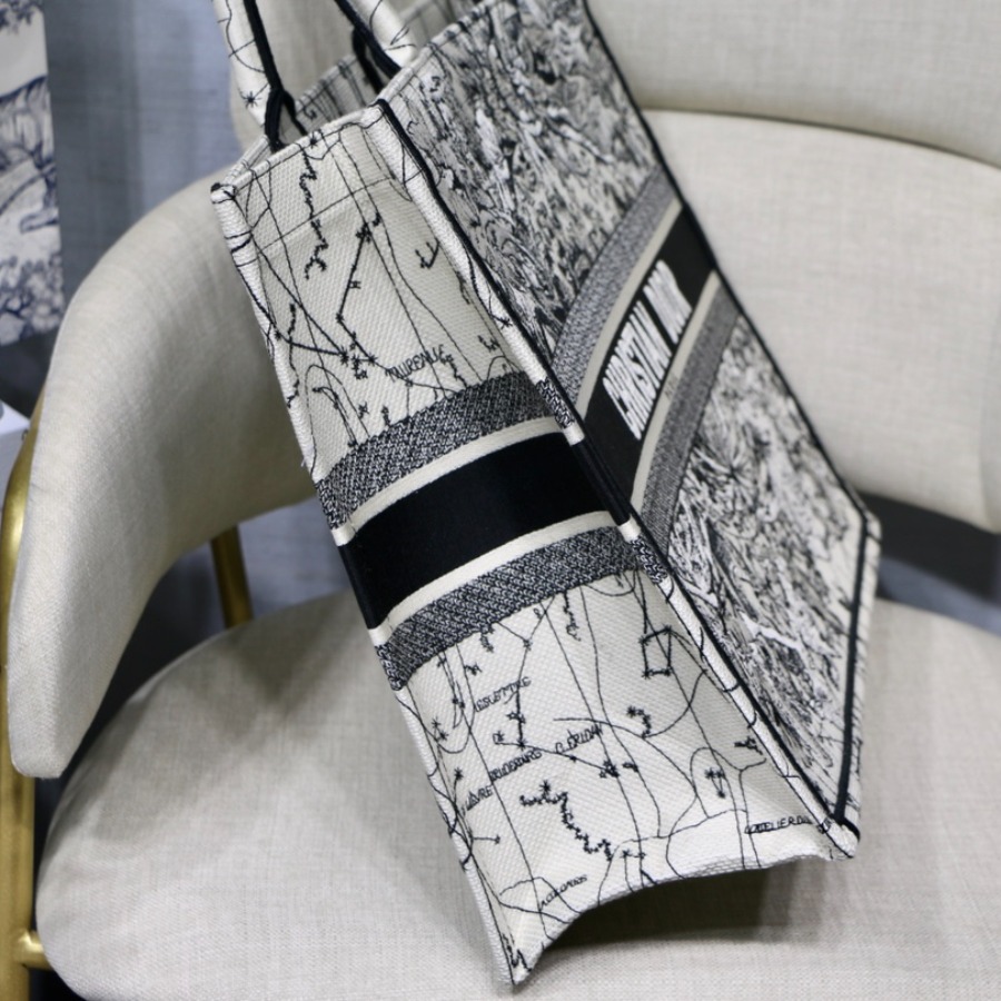 DIOR BOOK TOTE