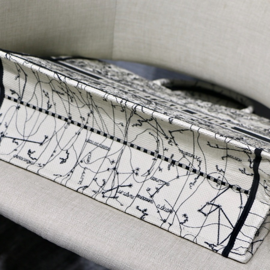 DIOR BOOK TOTE