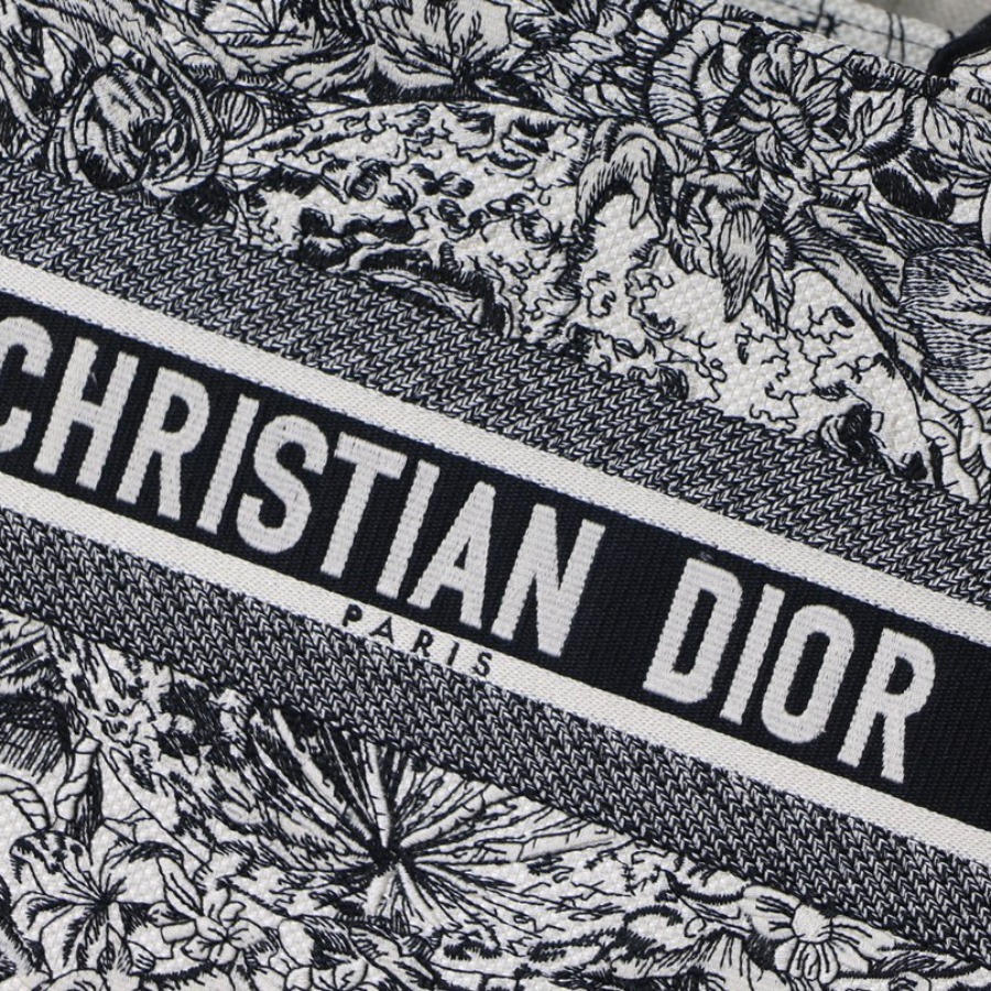 SMALL DIOR BOOK TOTE