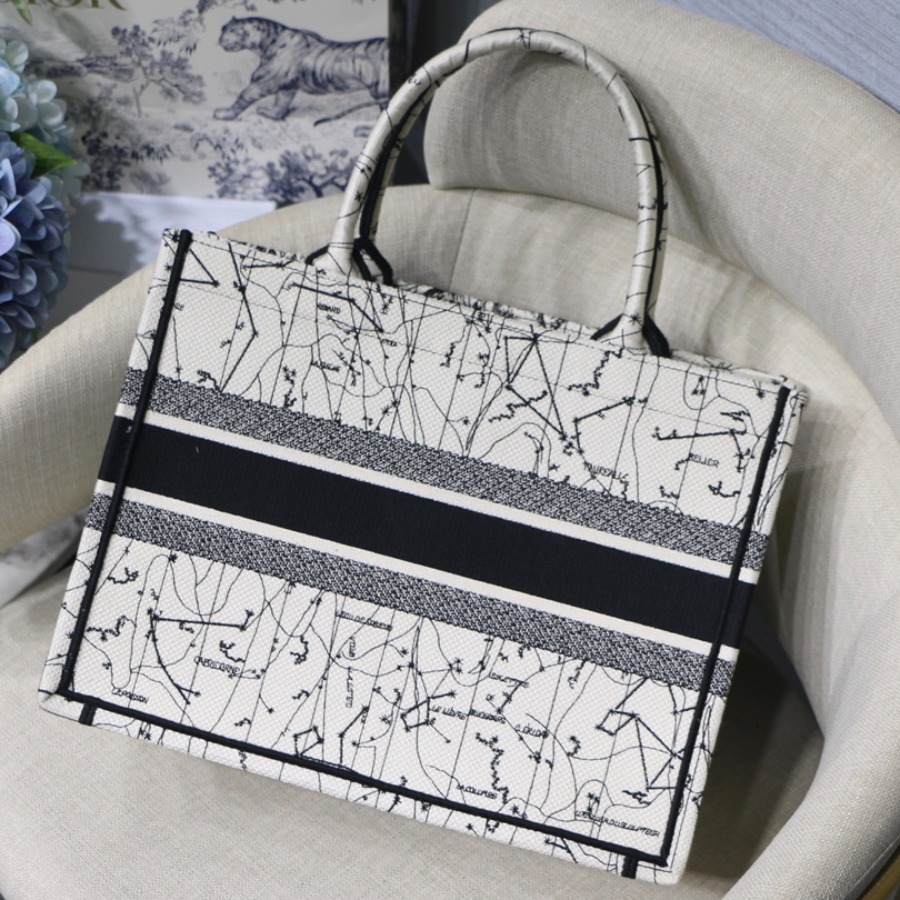 SMALL DIOR BOOK TOTE