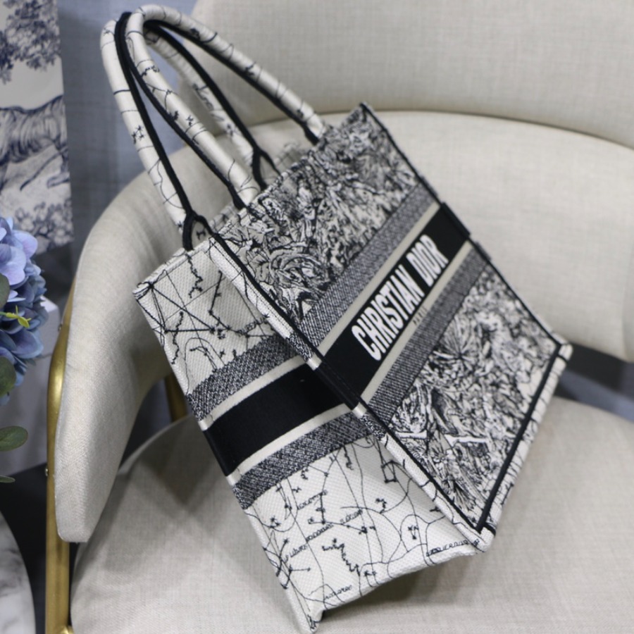 SMALL DIOR BOOK TOTE