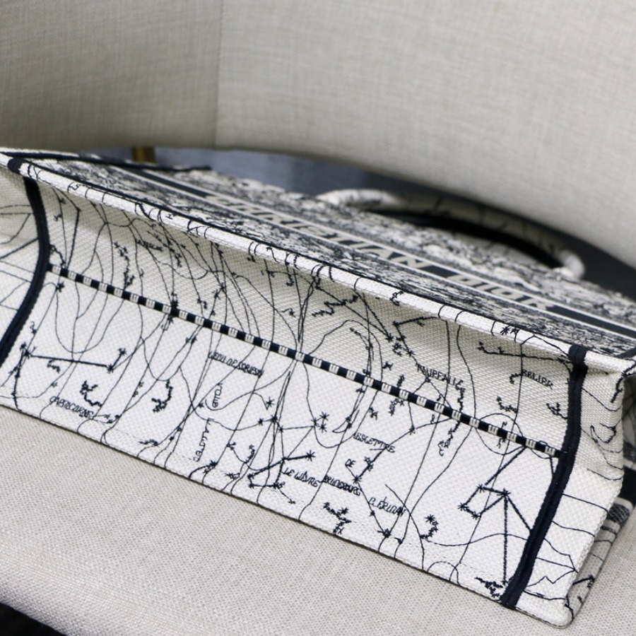 SMALL DIOR BOOK TOTE