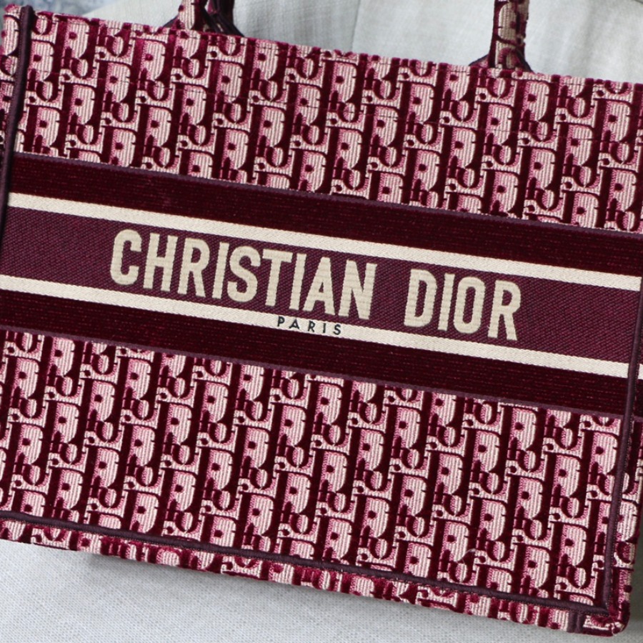 SMALL DIOR BOOK TOTE