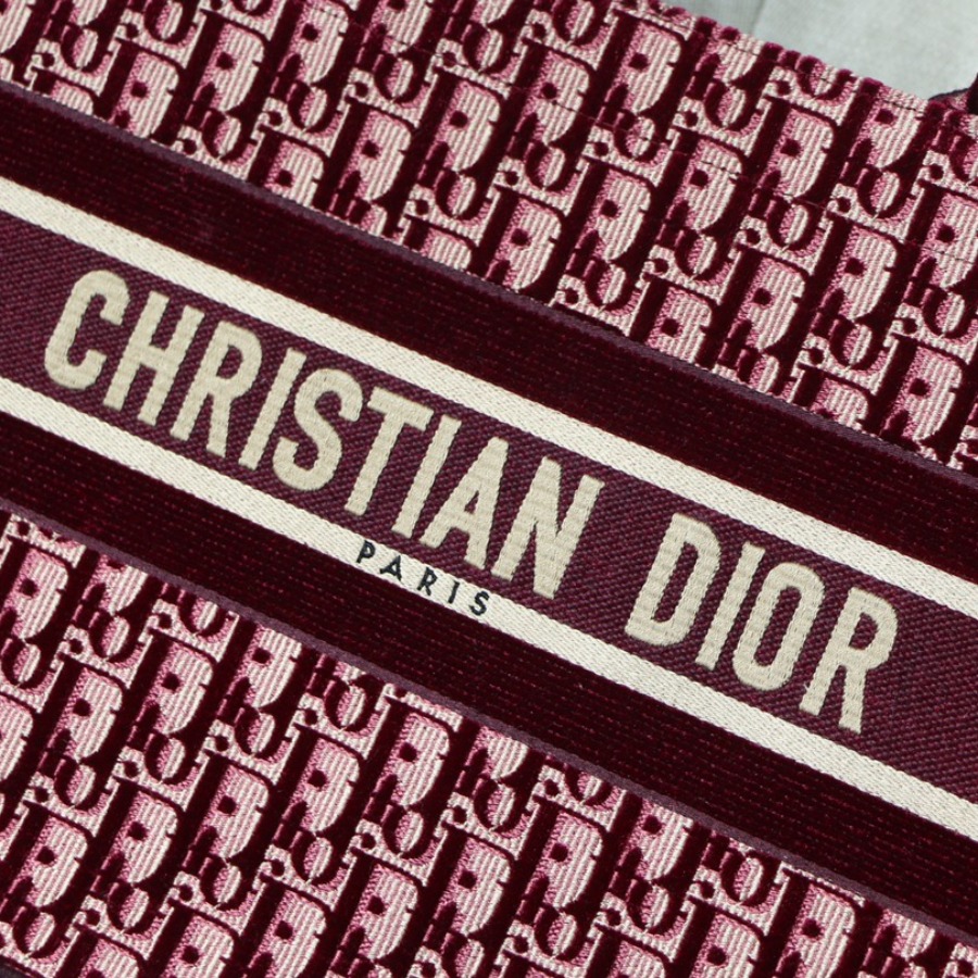 SMALL DIOR BOOK TOTE