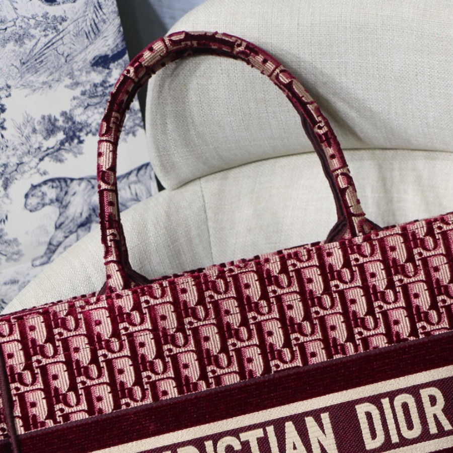SMALL DIOR BOOK TOTE