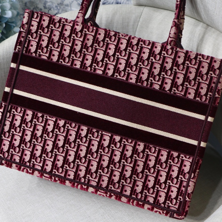 SMALL DIOR BOOK TOTE
