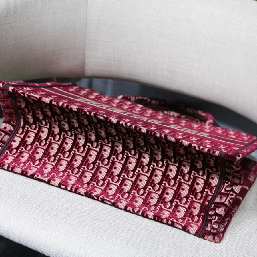 SMALL DIOR BOOK TOTE