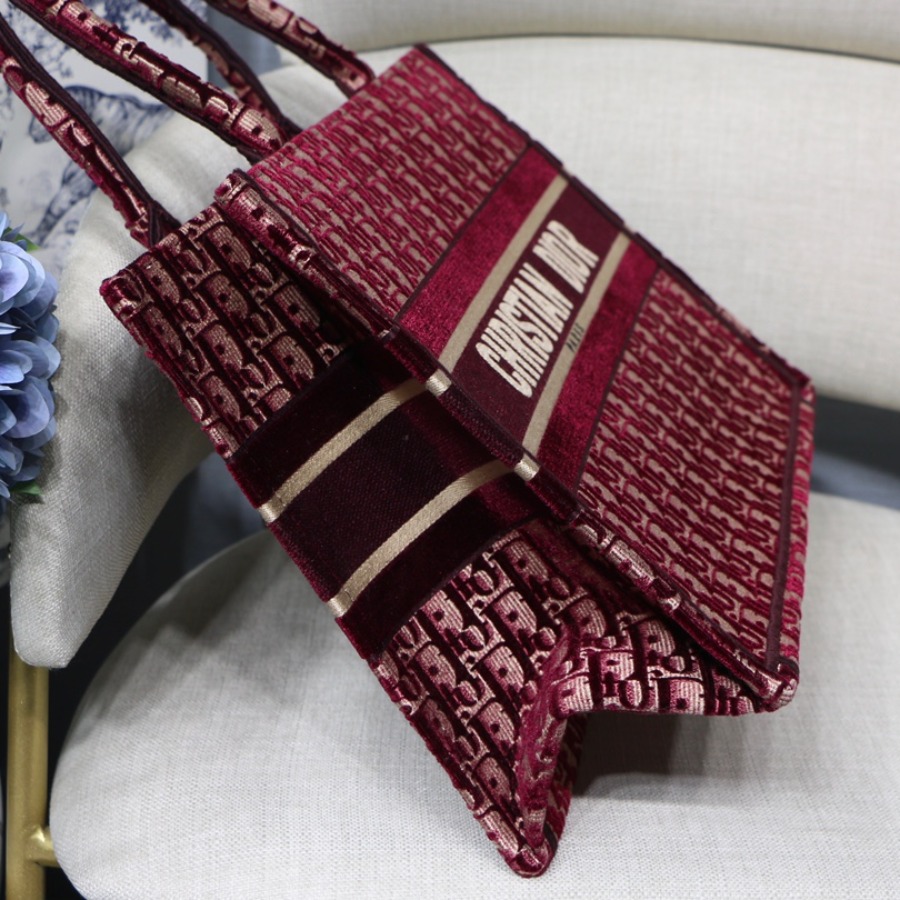 SMALL DIOR BOOK TOTE