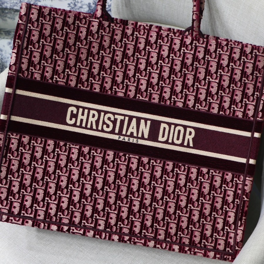 DIOR BOOK TOTE