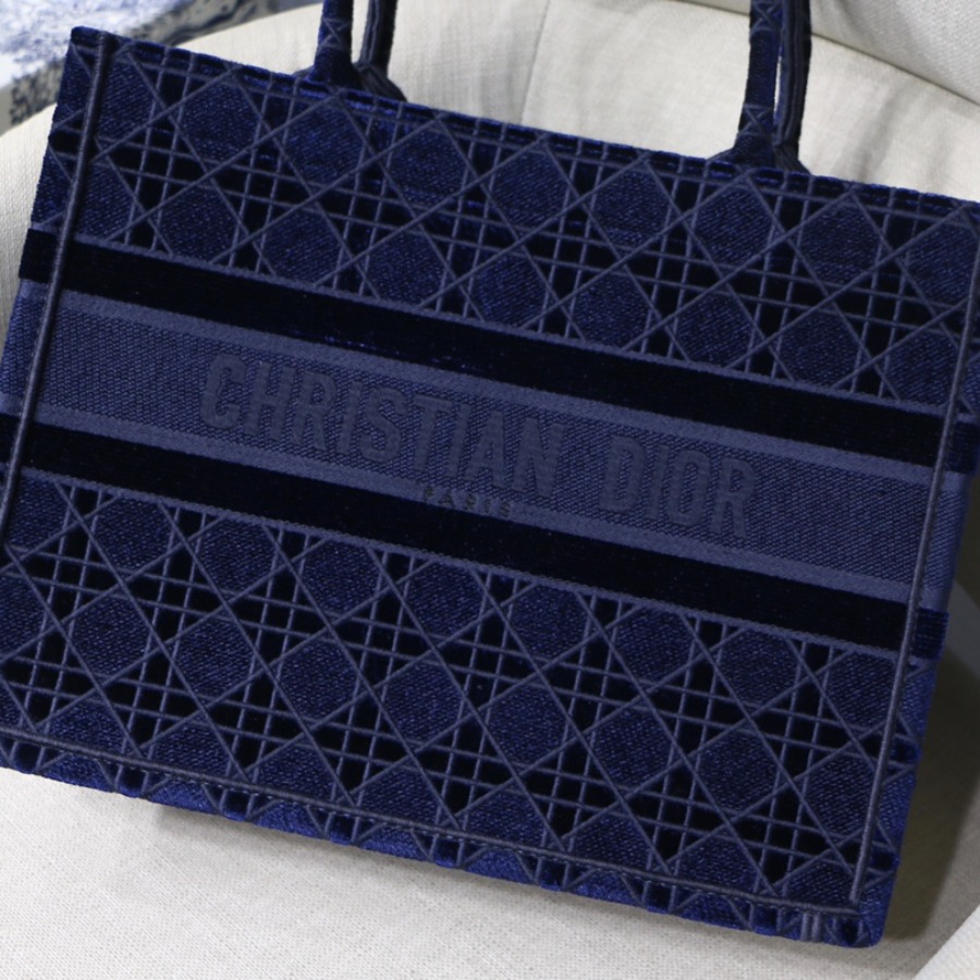 SMALL DIOR BOOK TOTE