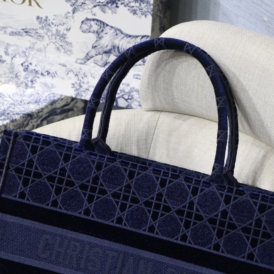 SMALL DIOR BOOK TOTE