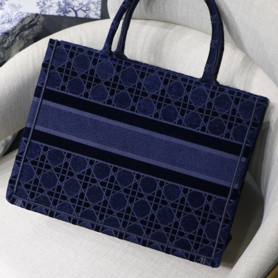 SMALL DIOR BOOK TOTE