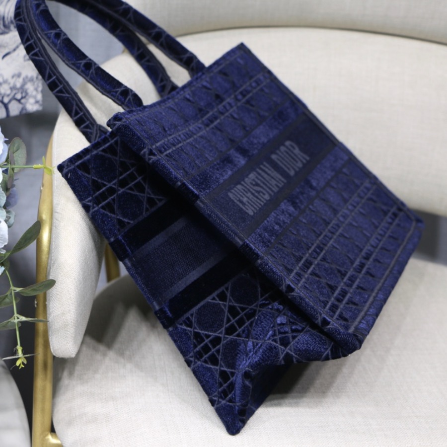 SMALL DIOR BOOK TOTE