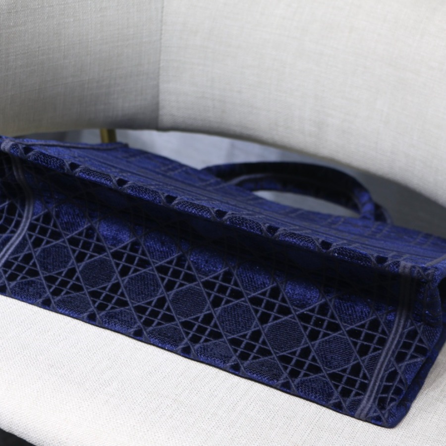 SMALL DIOR BOOK TOTE