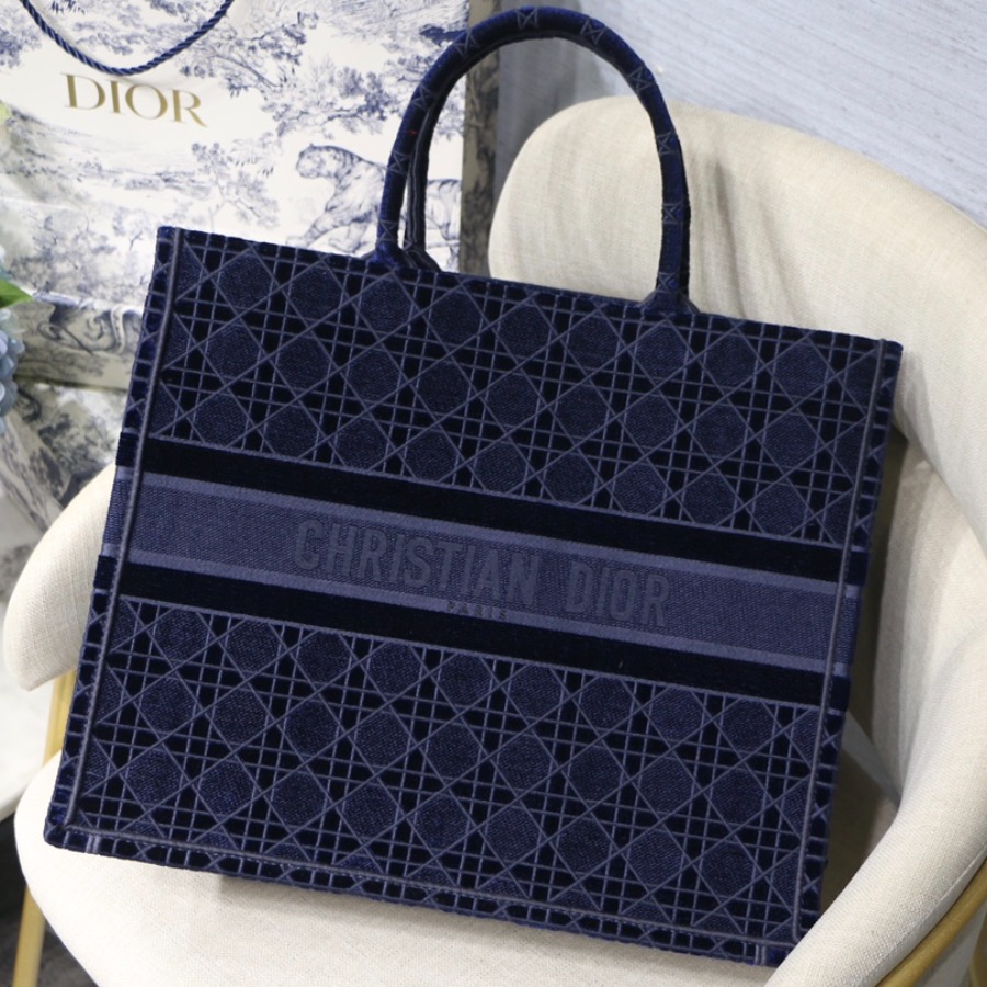 DIOR BOOK TOTE