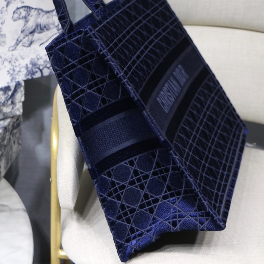 DIOR BOOK TOTE