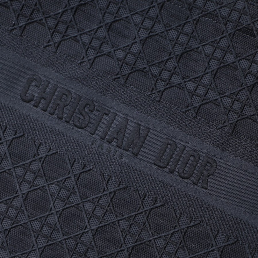 DIOR BOOK TOTE