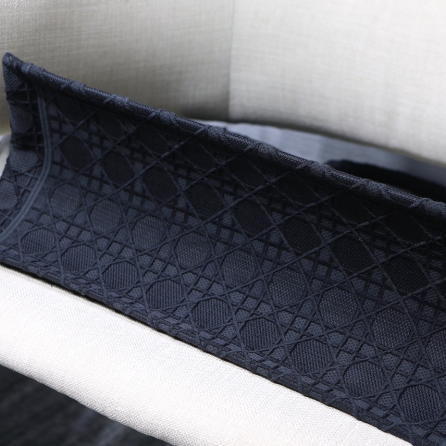 DIOR BOOK TOTE