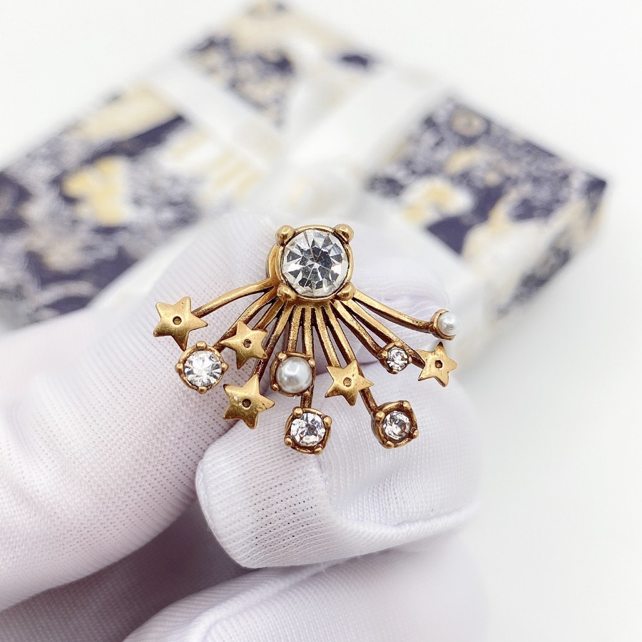 Christian Dior Earrings