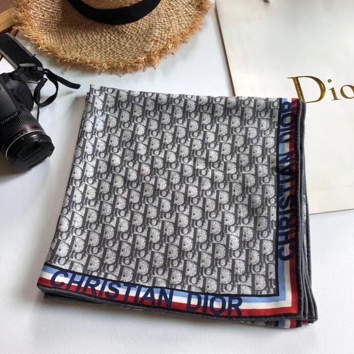 Dior Scarf