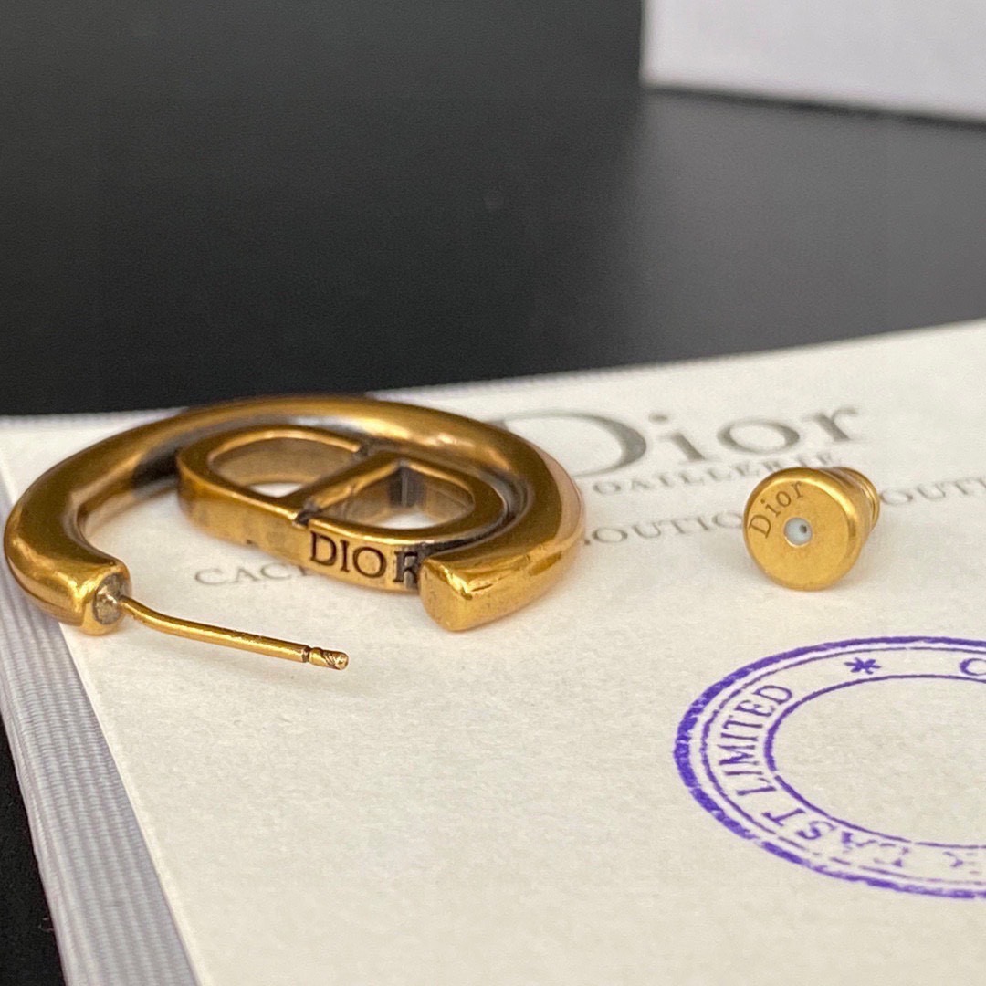 Christian Dior Earrings