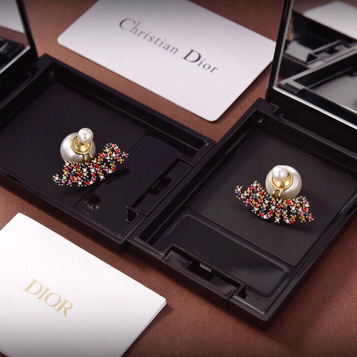 Christian Dior Earrings