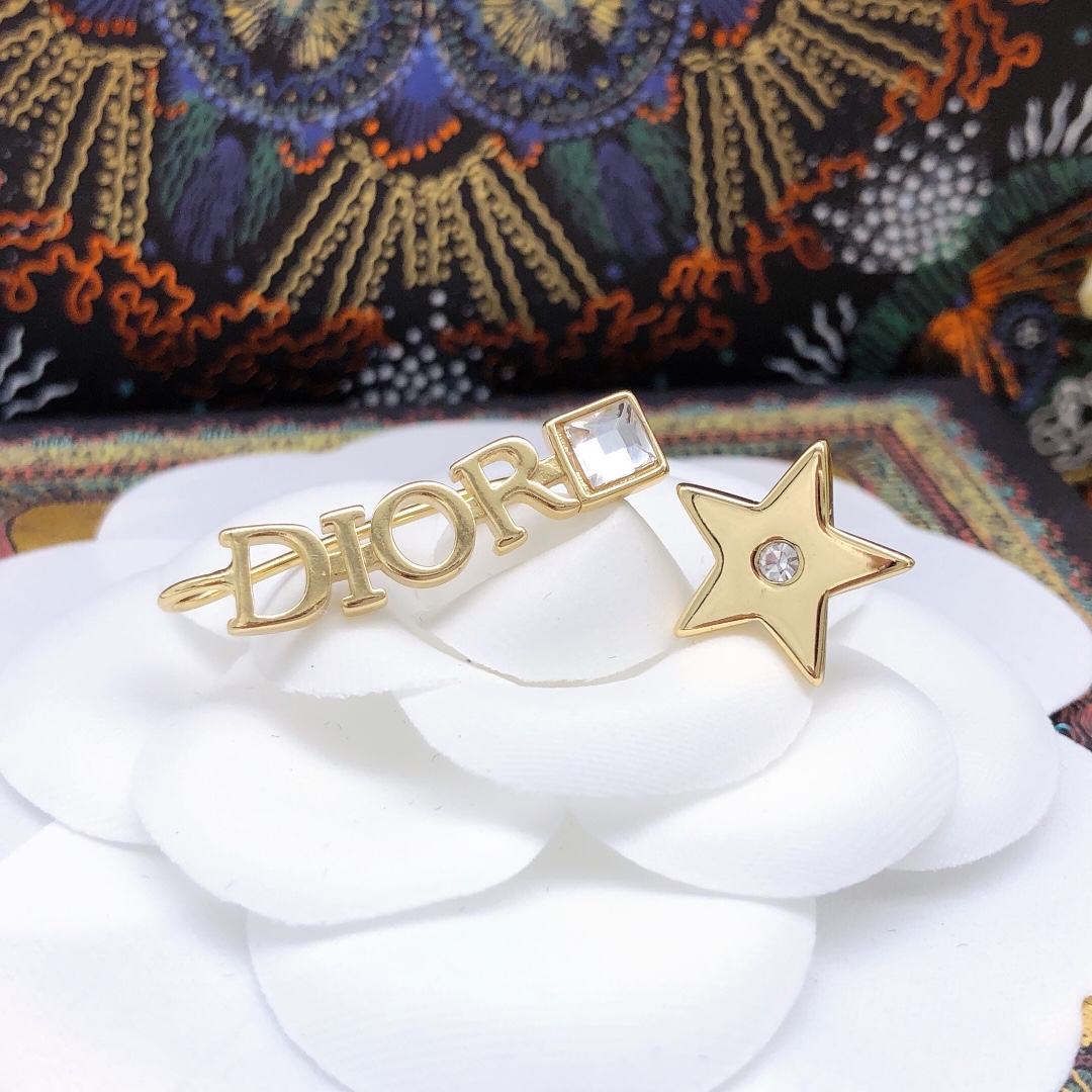 Christian Dior Earrings