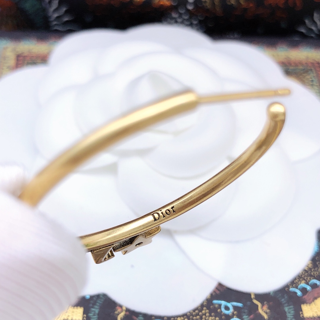 Christian Dior Earrings