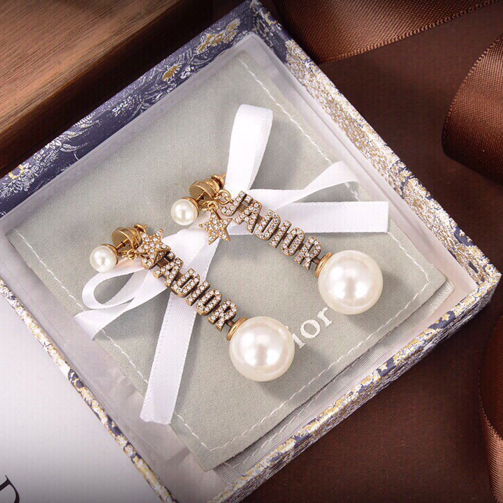 Christian Dior Earrings