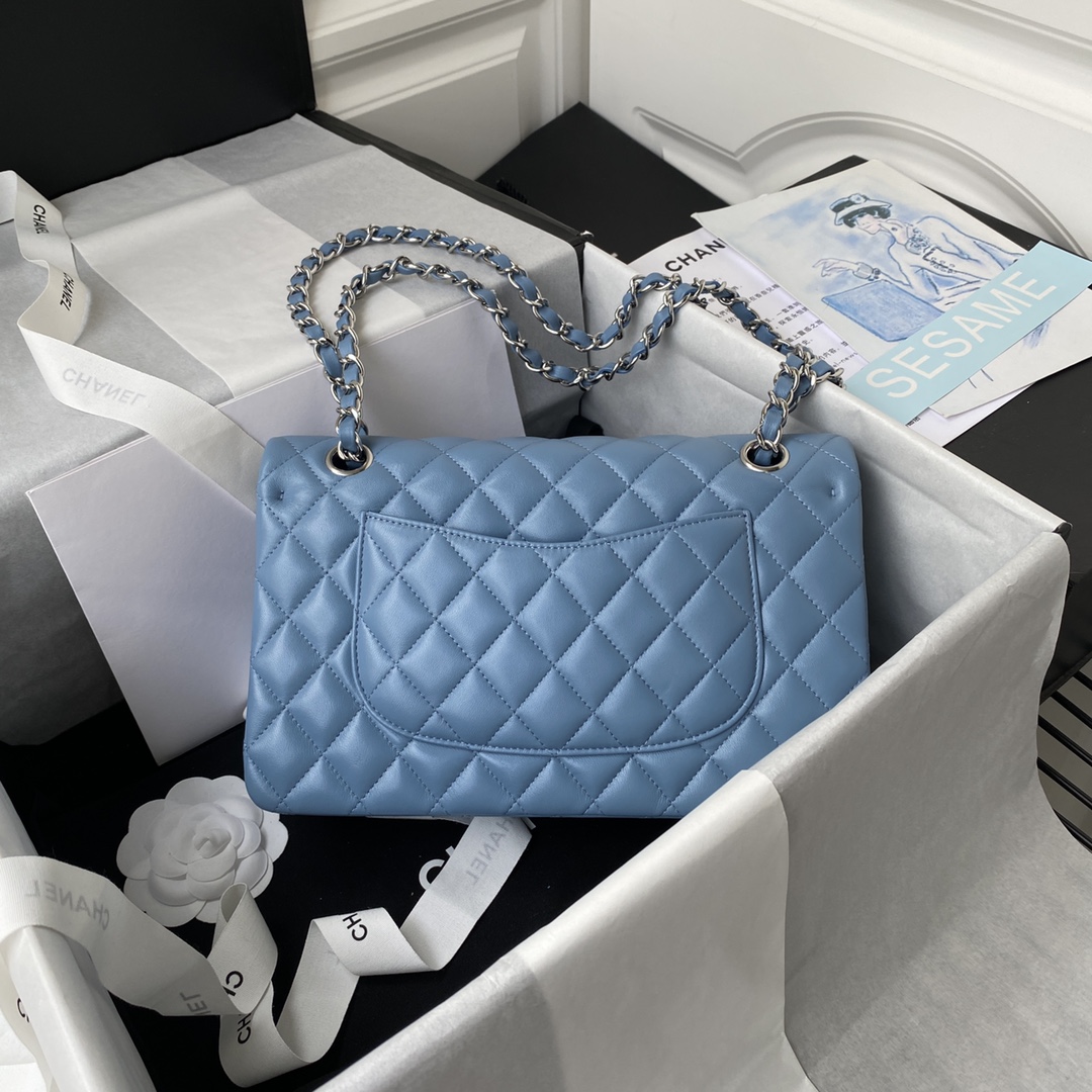 A1112, Chanel Classic Handbag & Cross Body Bag