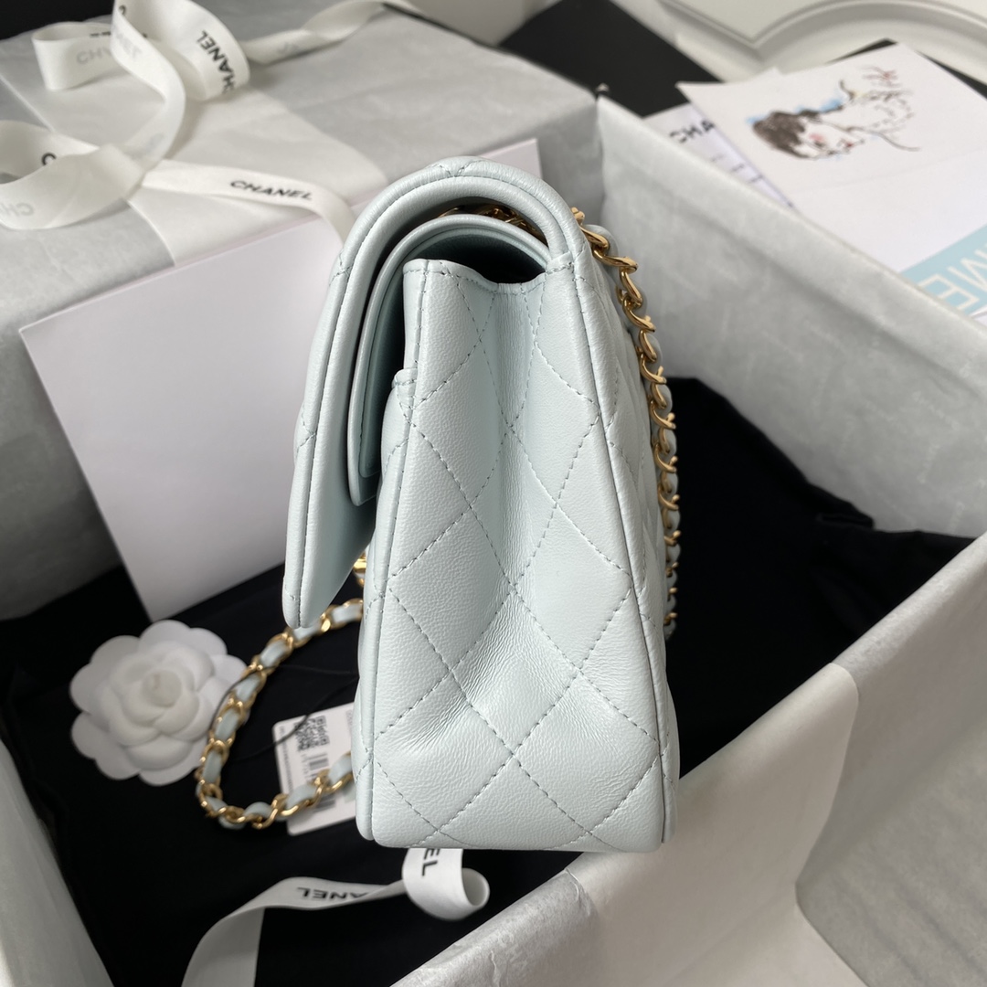 A1112, Chanel Classic Handbag & Cross Body Bag