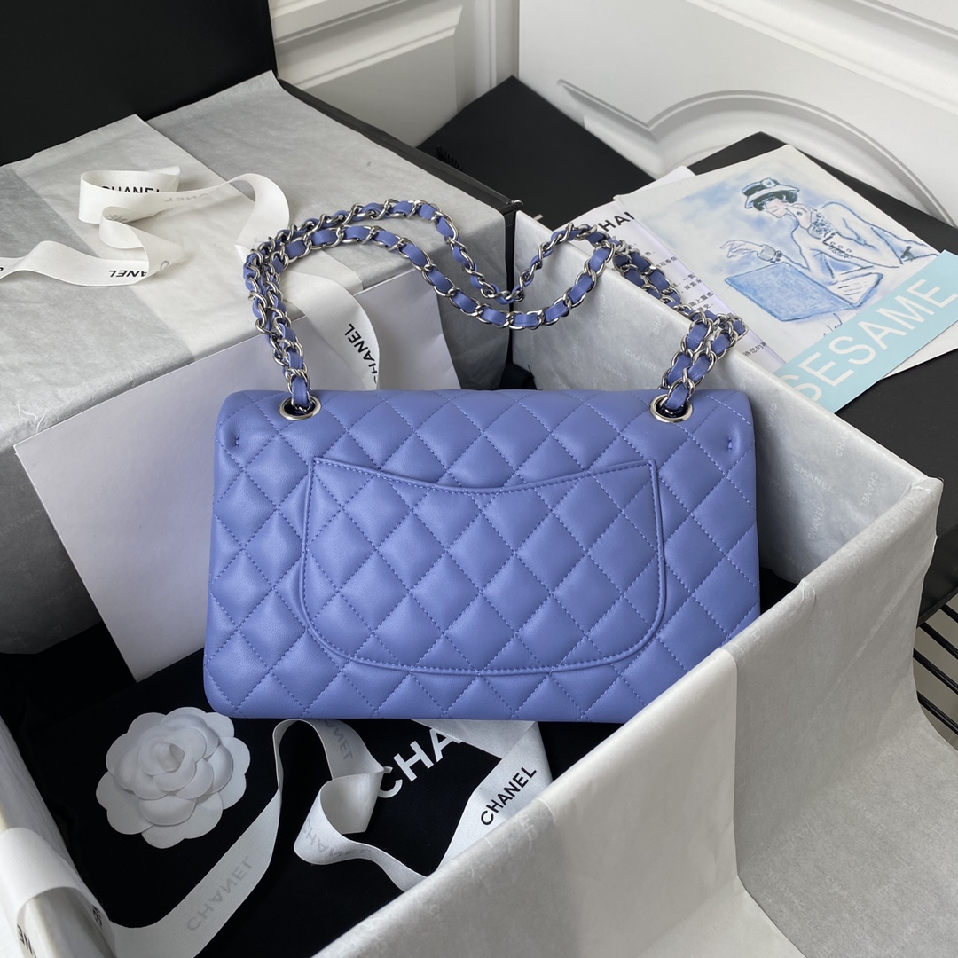 A1112, Chanel Classic Handbag & Cross Body Bag