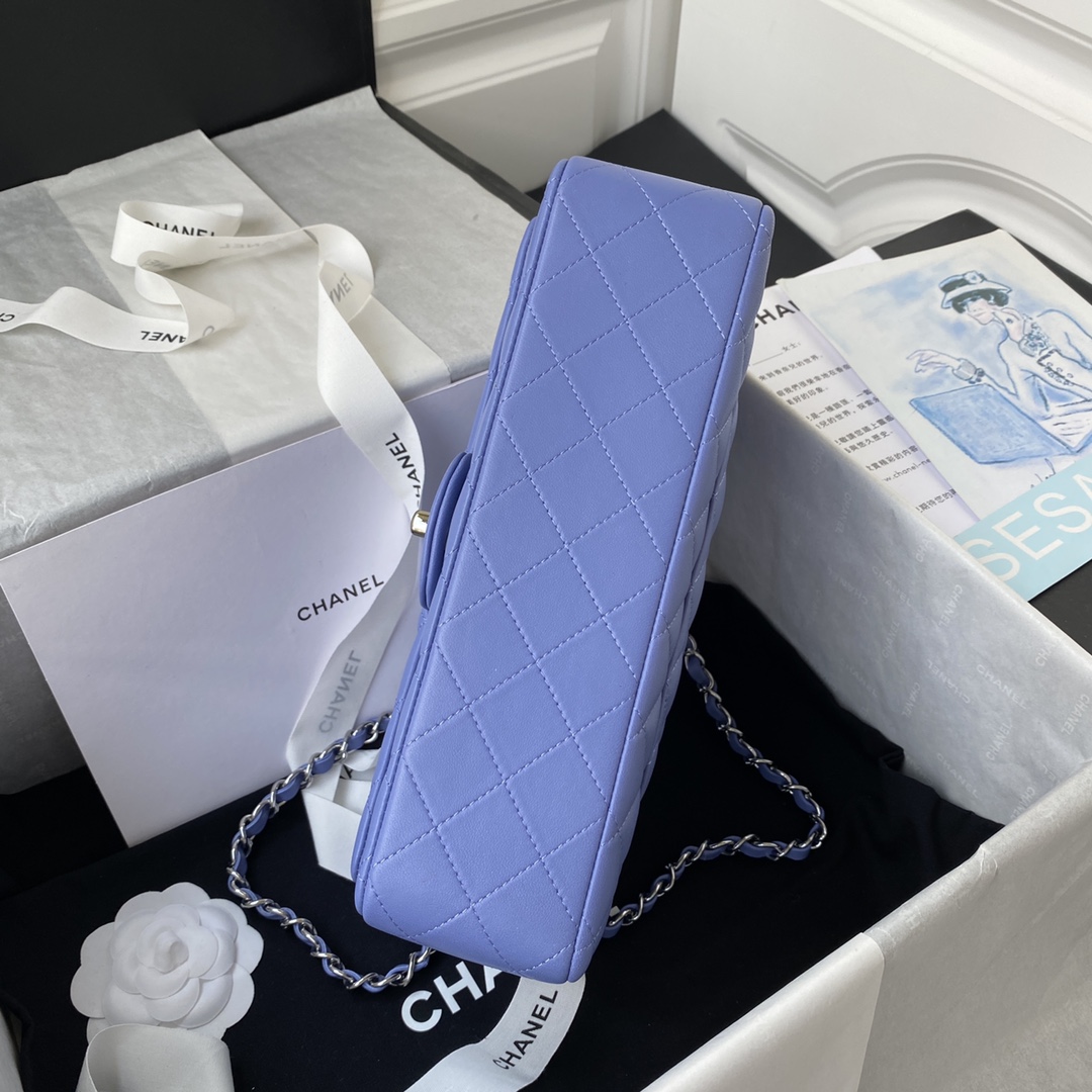 A1112, Chanel Classic Handbag & Cross Body Bag
