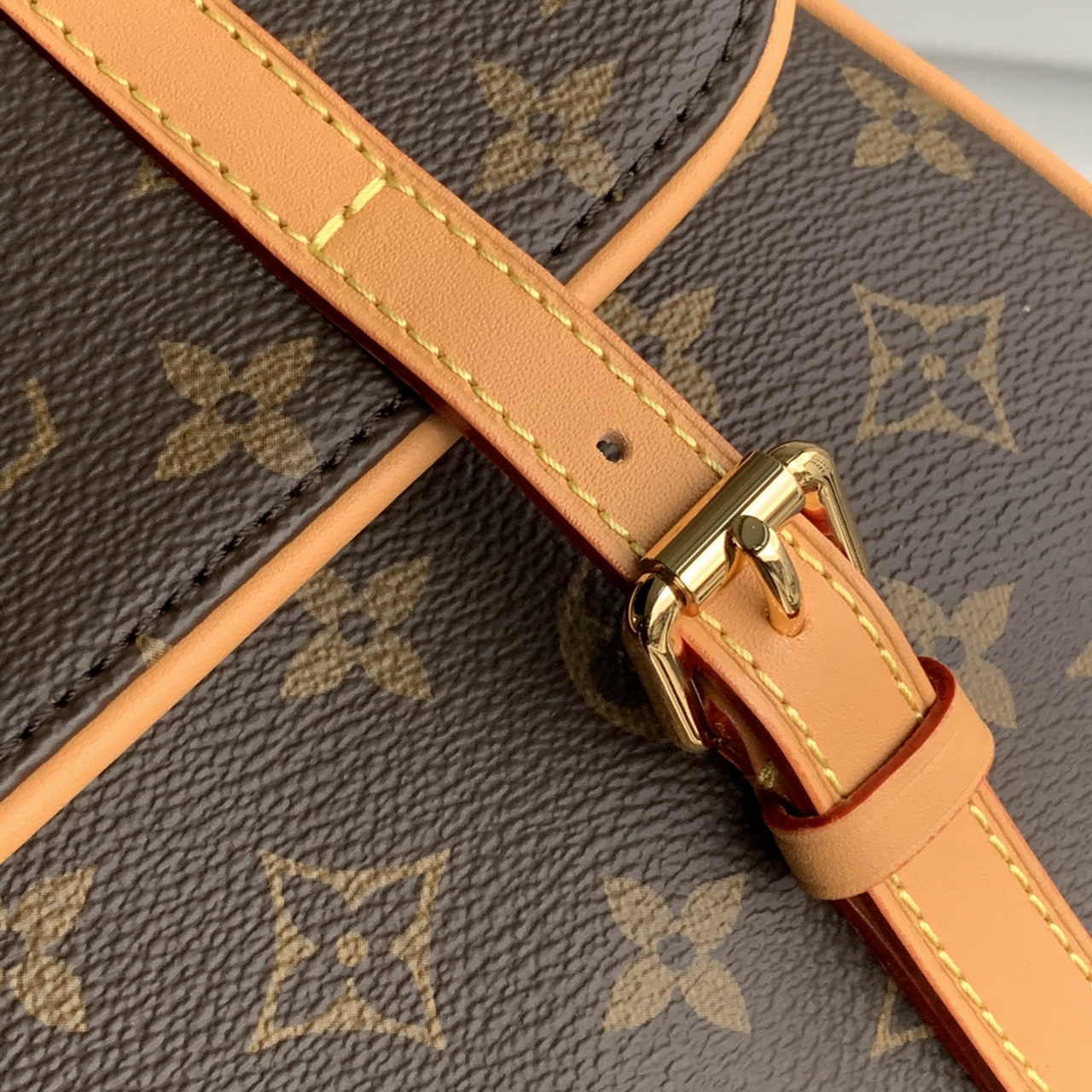 m42250, LOUIS VUITTON LV