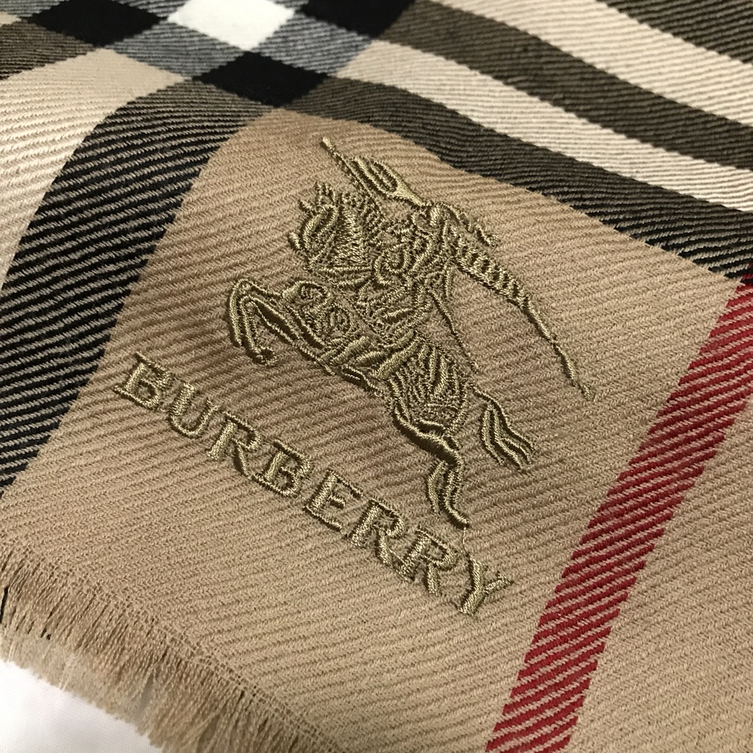 Burberry Scarves