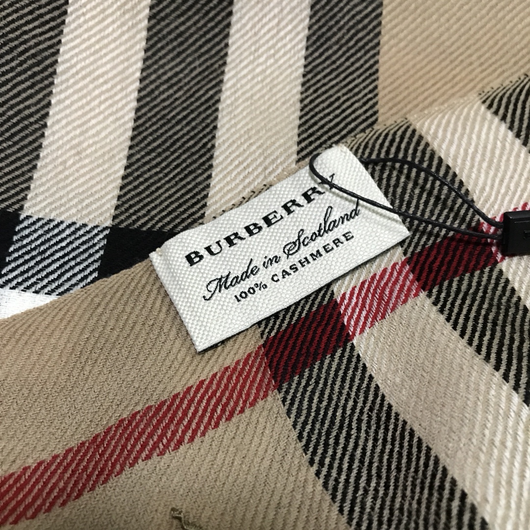 Burberry Scarves
