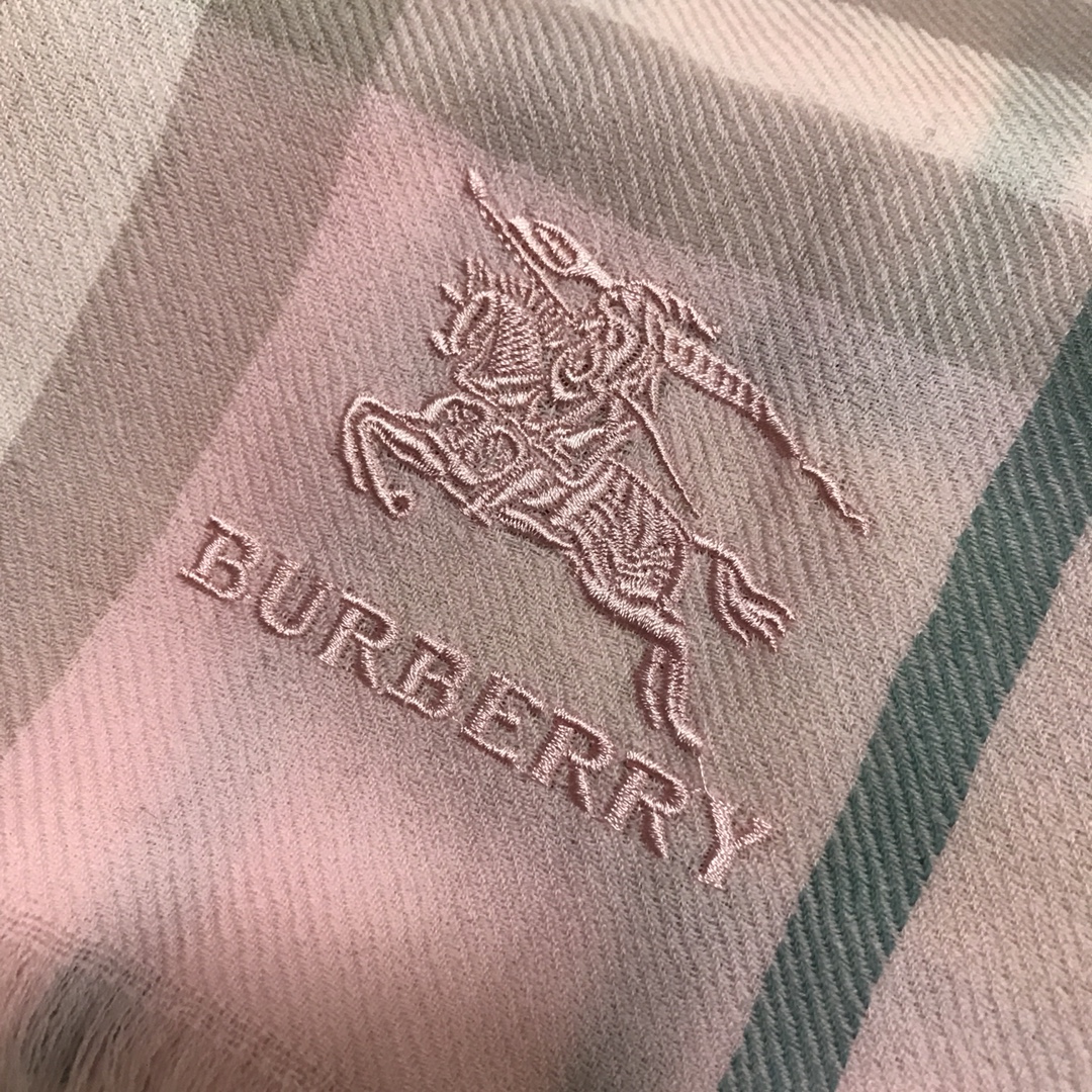 Burberry Scarves