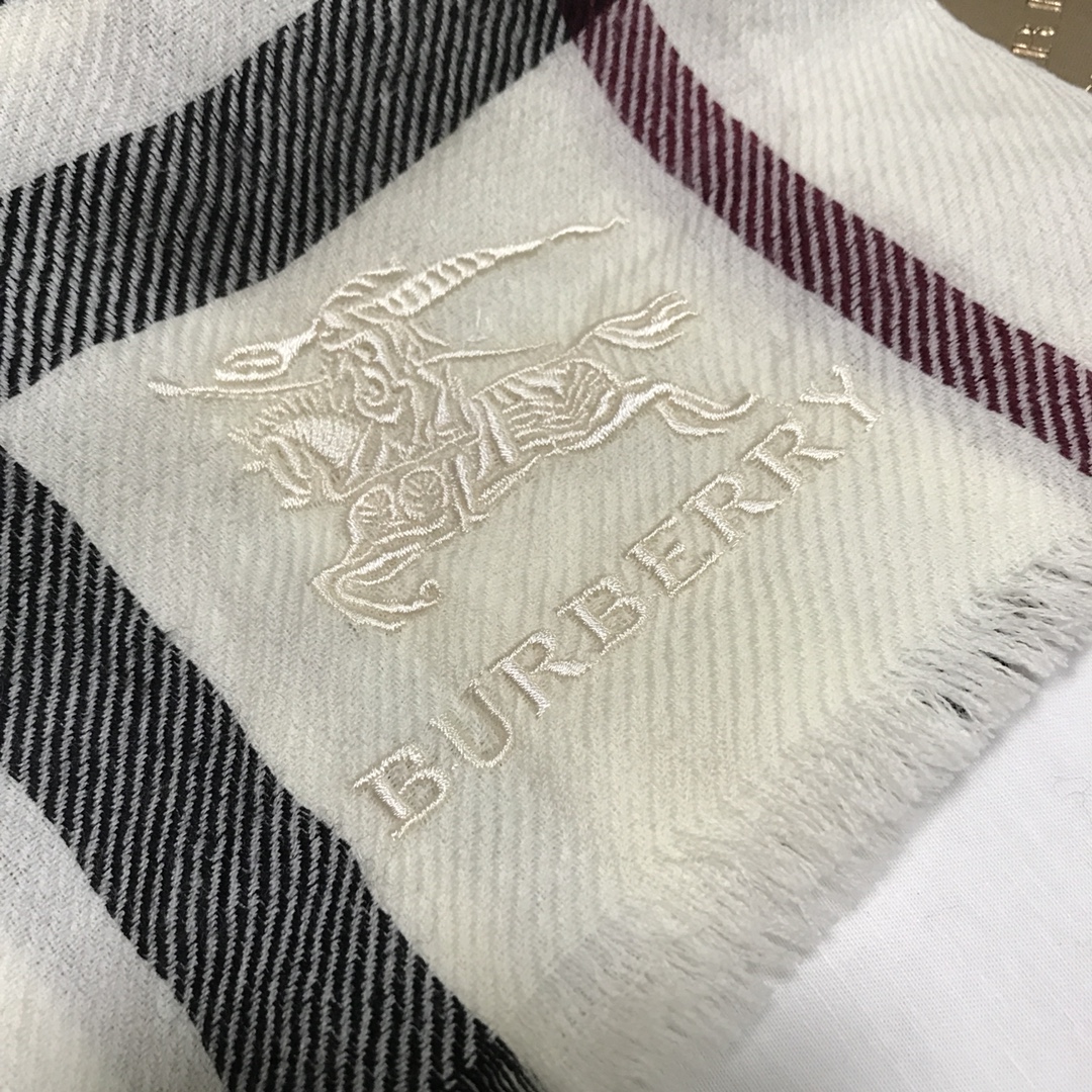 Burberry Scarves