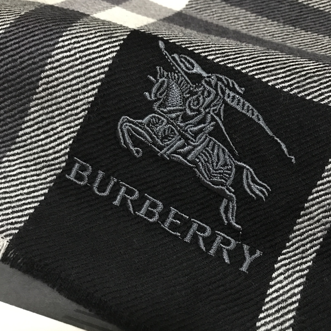 Burberry Scarves