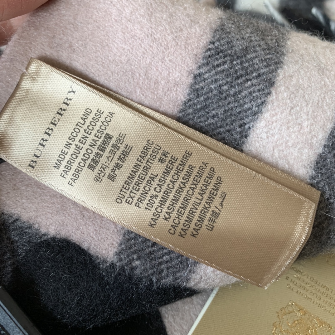 Burberry Scarves