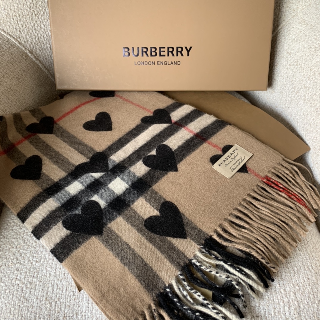 Burberry Scarves