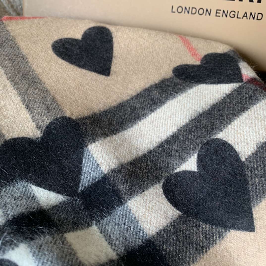 Burberry Scarves
