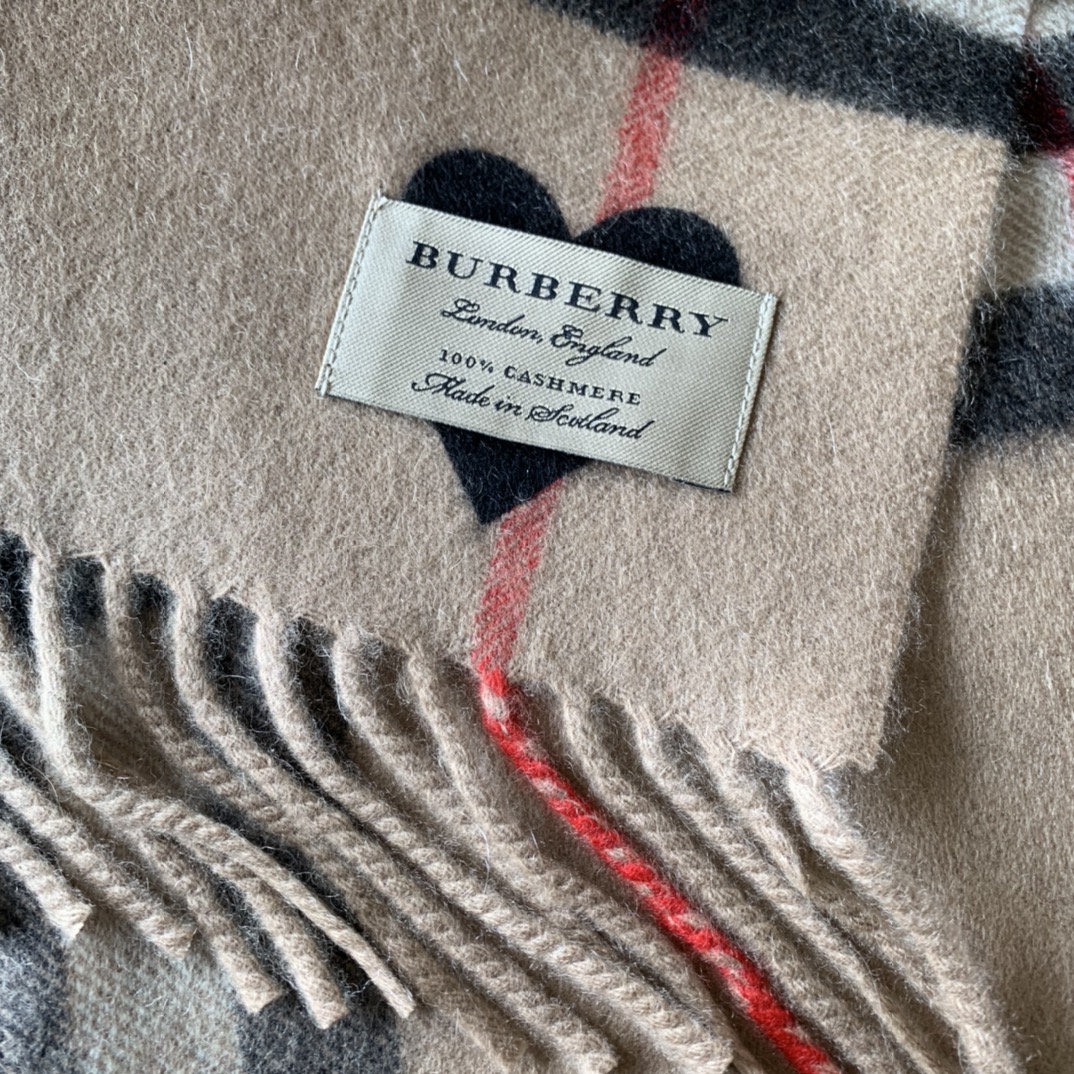 Burberry Scarves