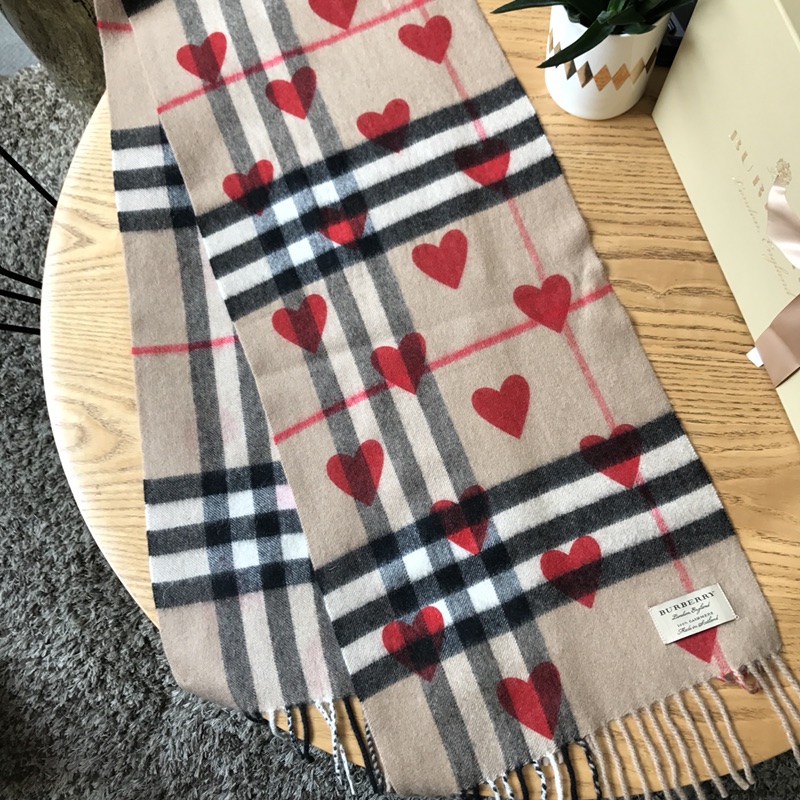 Burberry Scarves