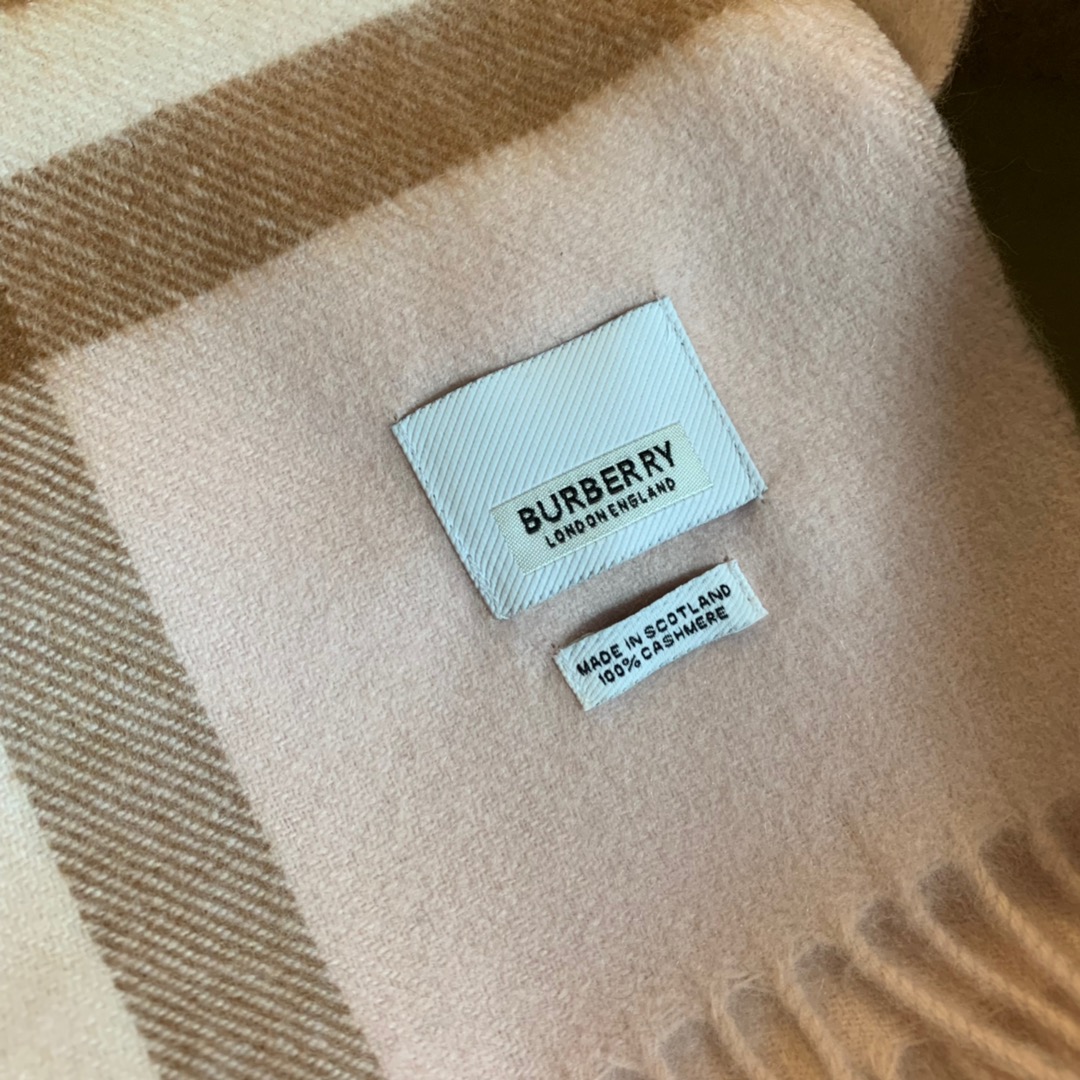 Burberry Scarves